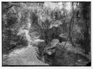 Palestine events. The earthquake of July 11, 1927. Great rifts in Jordan banks. Caused by the earthquake