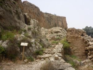 The steps up to the monastery