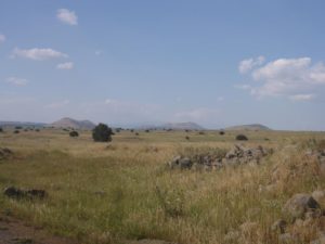 Some of Golan heights volcanos