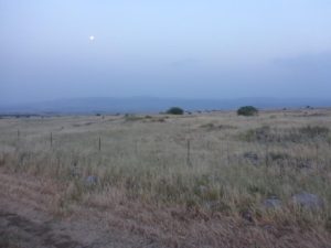 The sun is up after another sleepless night. An the moon is also up