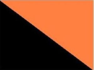 Engineering corps flag colors