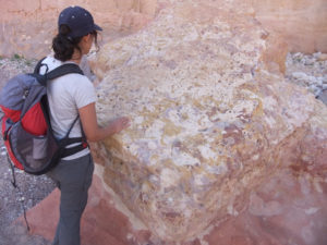 Atzva inspecting the beautiful rock