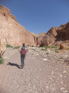 Walking down... - Red Canyon