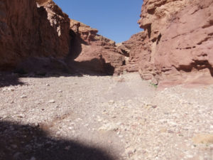 And closer.... - Red Canyon