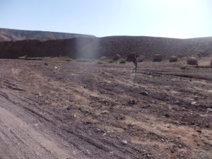 From the parking lot - the Red Canyon