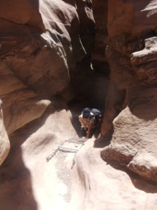 A ladder Xuxa did not manage to go around - Red Canyon
