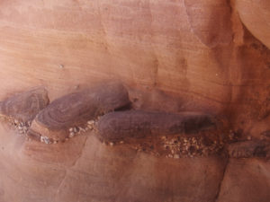 Other rocks locked in the sandstone - Red Canyon