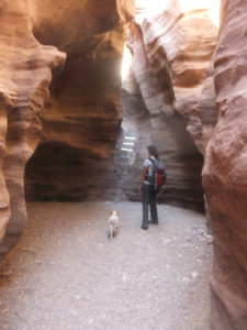 A ladder... I don't think Xuxa can jump on it... Red Canyon