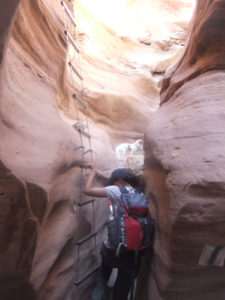 She somehow jumped over there. It sometimes feel she is a goat and not a dog... Red Canyon