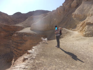 Atzva and Xuxa on top of the cliff