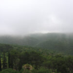 The views from the fortress