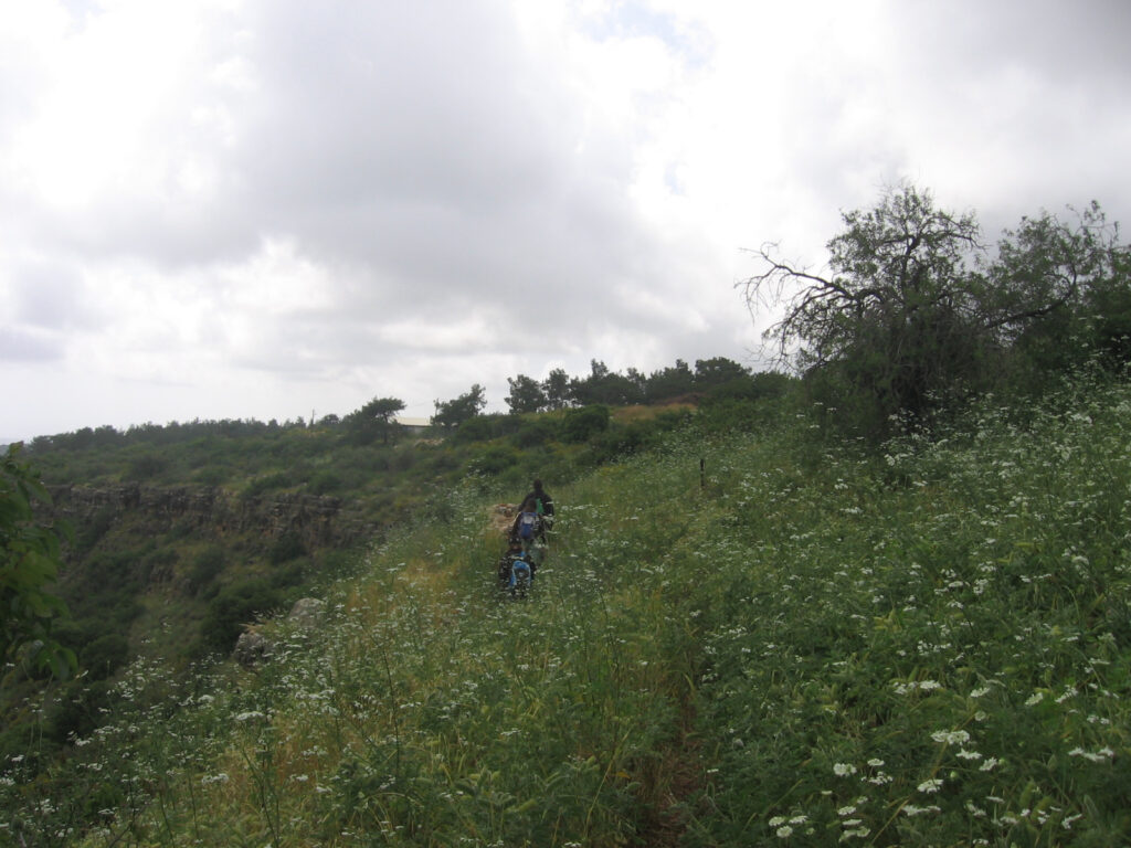 Nahak Yehiam (Yehiam stream)