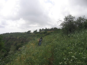 Nahak Yehiam (Yehiam stream)