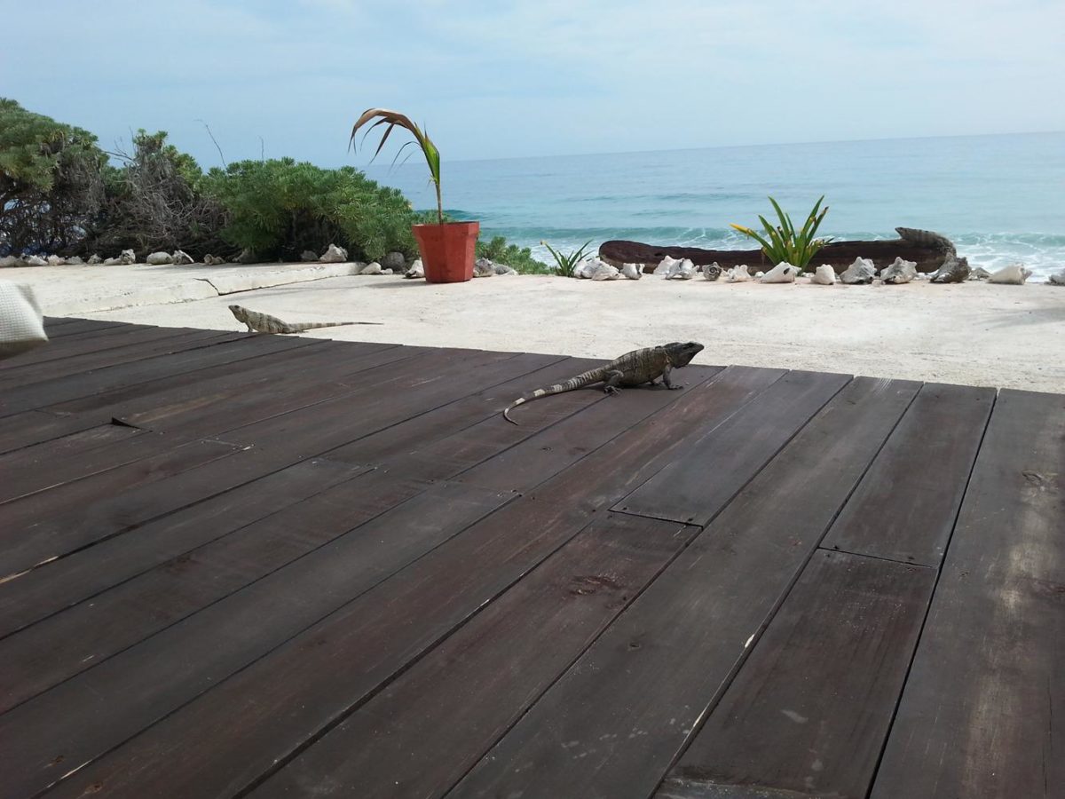 September 8th, 2014 – Gifts – Isla Mujeres, Quintana Roo,  Mexico