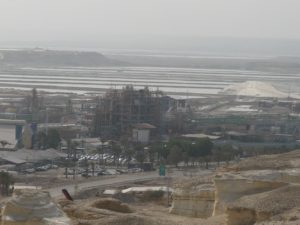 01282015-07 The Dead Sea Works  produce also other chemical products, like Bromine (like the plant on top) and Magnesium (the planet on the bottom).