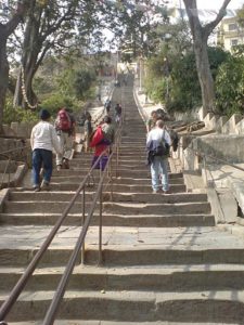 Climbing up the Temple of monkeys