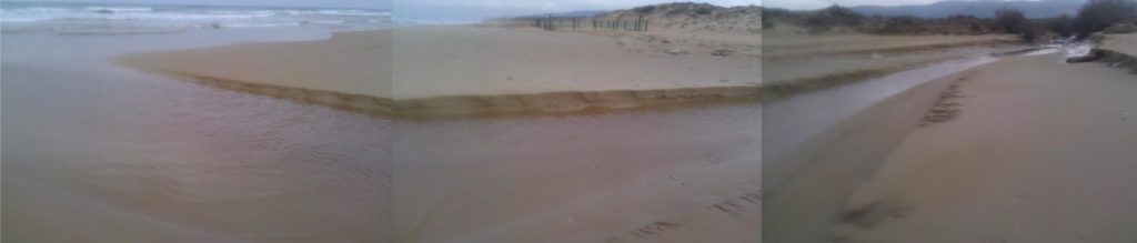 01162015-05 The 5th stream and the fenced area that hold the sea turtle eggs - Carmel streams