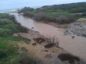 01162015-10 ...I had to go all the way up the stream to the train bridge to cross it (and to run from the train). Carmel streams
