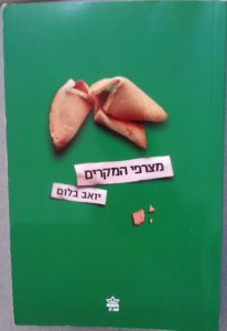 The Coincidences by Yoav Blom - Books