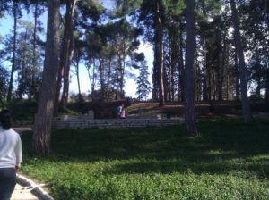 The hill of the Rothschild family tomb