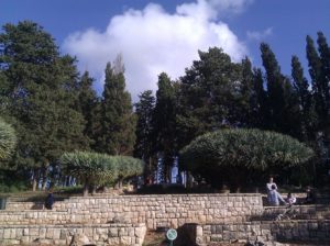 The Cascades On the stone table, written the names of the settlement to which Rothschild family donated money and helped - 2