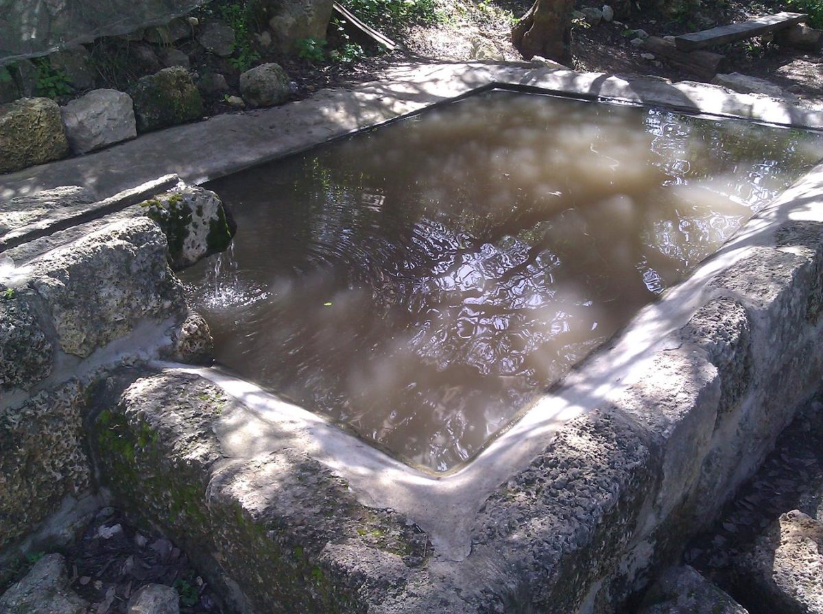 Ein Ayala Spring and Ramat Ha-Nadiv