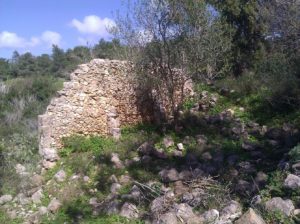 Ein Ajala ("spring of the deer") village ruins (the village was abandoned in the Operation Shoter in Independence War) - 5 - Ein Ayala