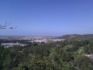 Looking North-East on Mount Carmel shore. - Ein Ayala