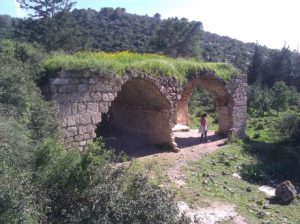 Ruins of a building that was used as a barn, and caves around it - 1 - Ein Ayala