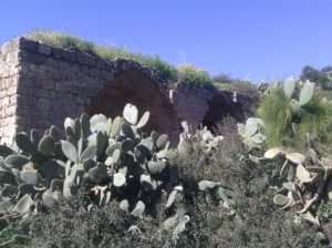 Ruins of a building that was used as a barn, and caves around it - 4 - Ein Ayala