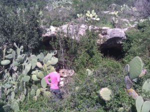 Ruins of a building that was used as a barn, and caves around it - 4 - Ein Ayala