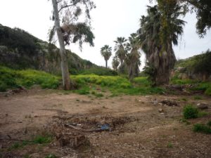 03182015-07 The open in the Kurkar ridge for the Beit-Oren stream. Before it was opened, the stream stooped here and the place was a swamp.