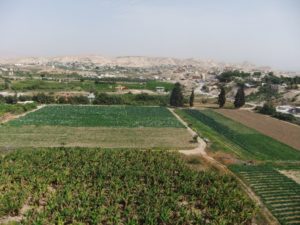Jericho - the grey and the green - from the Funicular