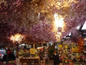 03292015-36 Amsterdam floating flower market - it is not really feels like walking on boats. - drugs