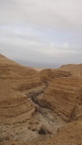 The start of Tzafit Canyon -Tzafit stream