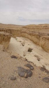 Peres waterholes - Tzafit stream