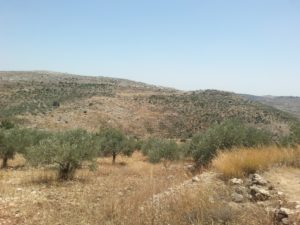 The right hill on the ridge is the citadel of Zeredah