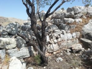Stones left of the walls of the citadel - Zeredah.