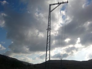 Little Owl on a power line. - Shuqba cave