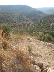 The view from the Artaba castle to the East. - Shuqba cave