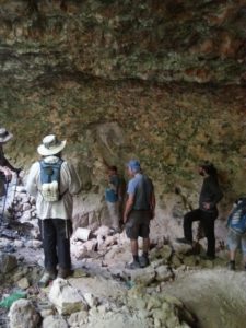 Another nice cistern with a fig tree growing inside it. - Shuqba cave