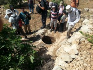 On the Southern slope of the Artaba. - Shuqba cave 