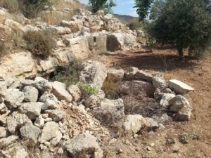 On the Southern slope of the Artaba. - Shuqba cave 