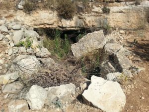 On the Southern slope of the Artaba. - Shuqba cave 