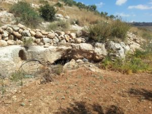 On the Southern slope of the Artaba. - Shuqba cave 