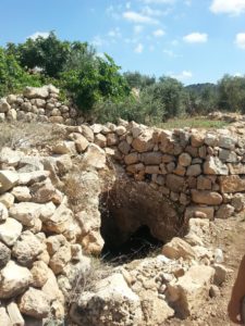 On the Southern slope of the Artaba. - Shuqba cave 