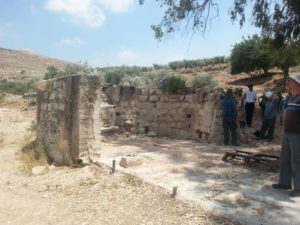 The ruins of the old well pump building near the village of Shibtin, and some horses