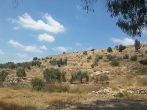 The ruins of the old well pump building near the village of Shibtin, and some horses