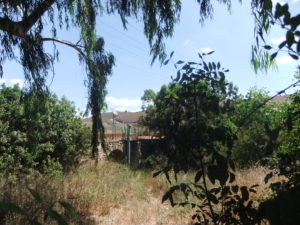 The Bridge over Nahal Ayun that was built by the British in 1943-44