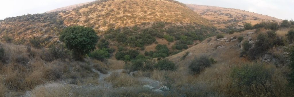 Barbara creek, that feed the Mezar creek.